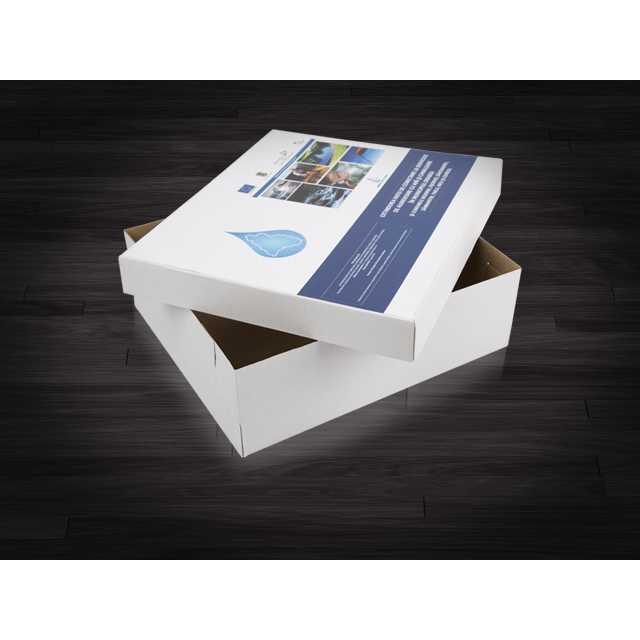 Cutii carton capac personalizat